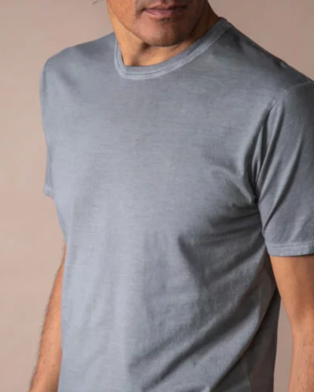 Camiseta Bjovuit Grey Washed